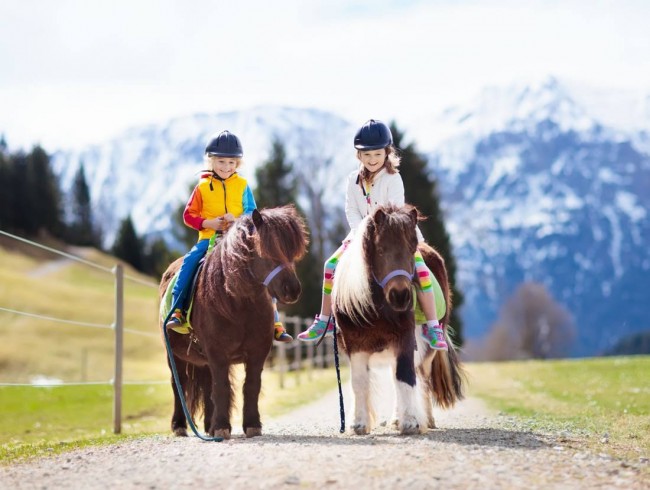 Reiten für Kinder und Erwachsene © Shutterstock