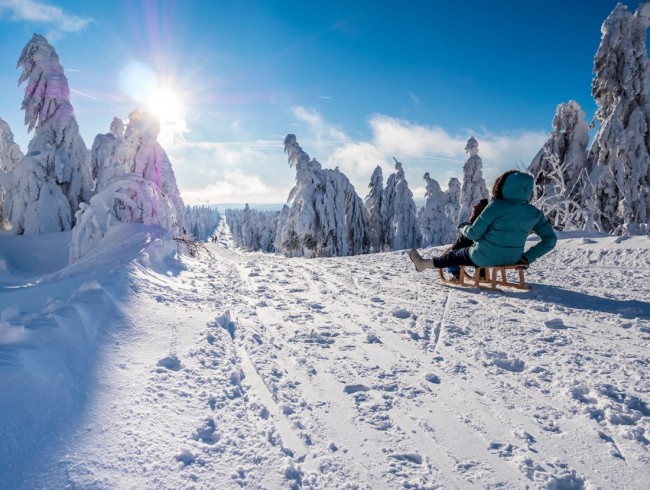 Rodeln und Schlittenfahren in Flachau © Shutterstock